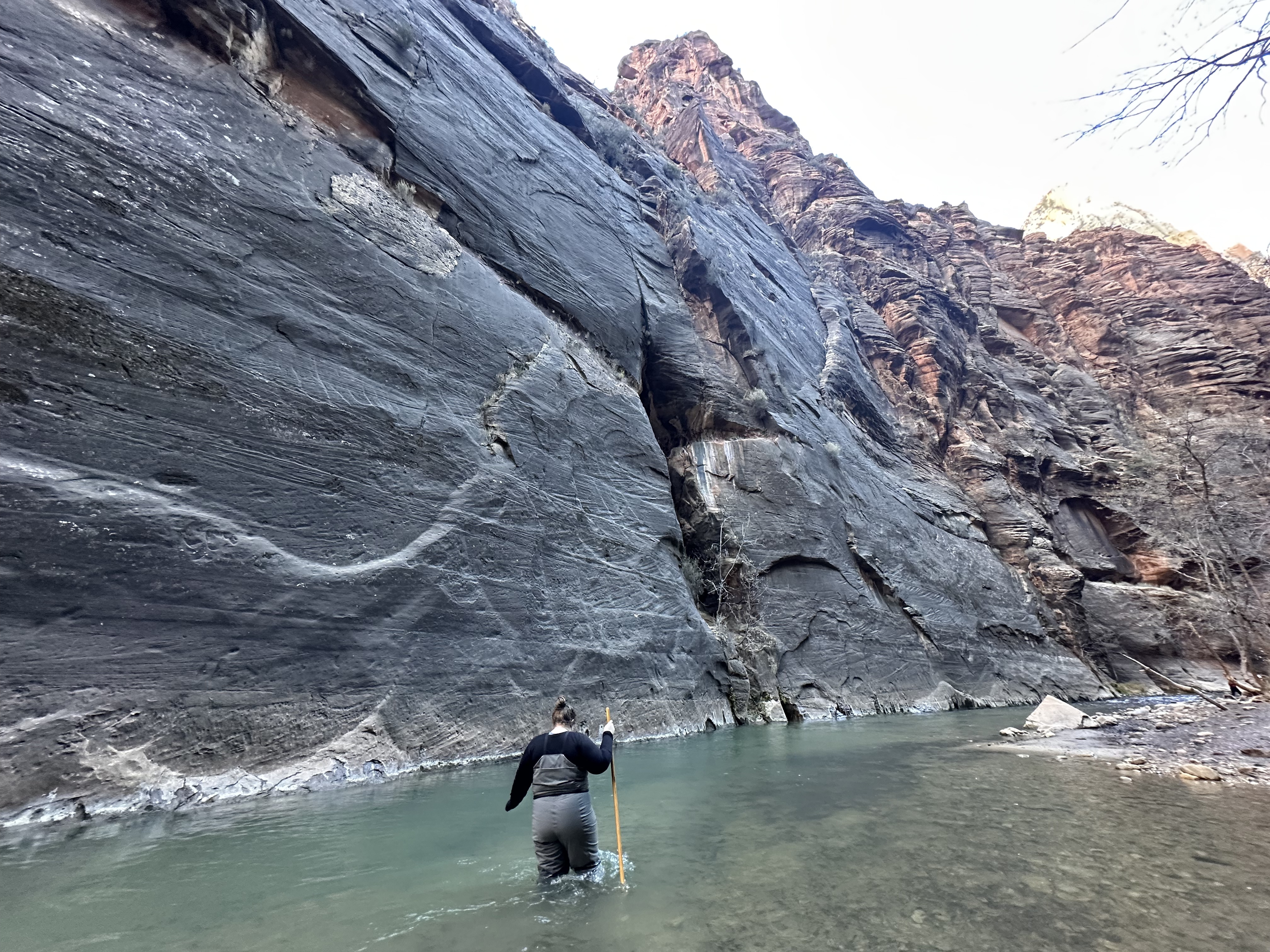 Stargazing and Hiking the Narrows: A Day in Zion National Park
