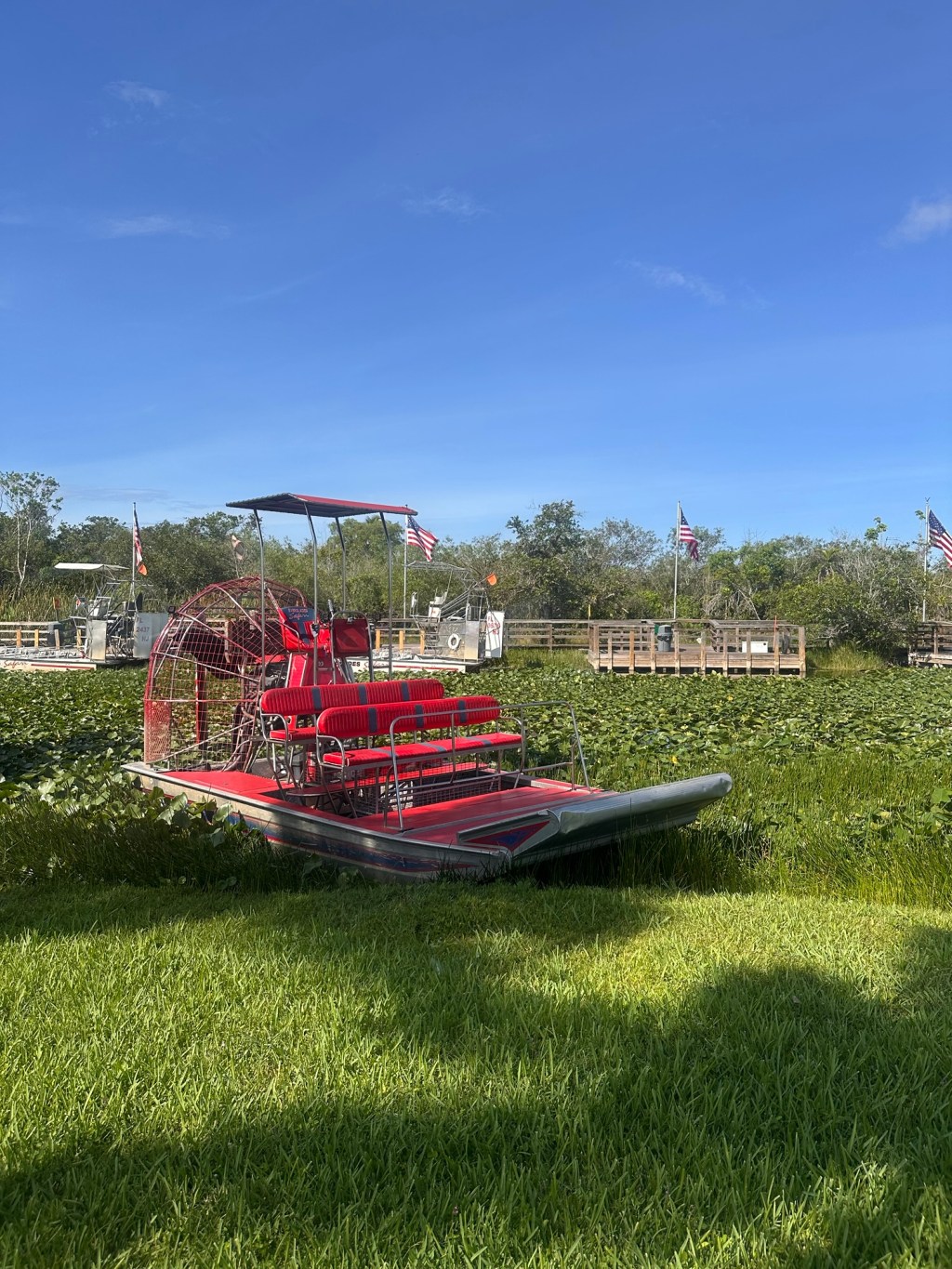 Everglades, Cypress Domes, and Gator Bites: Exploring Florida’s 3 National&nbsp;Parks