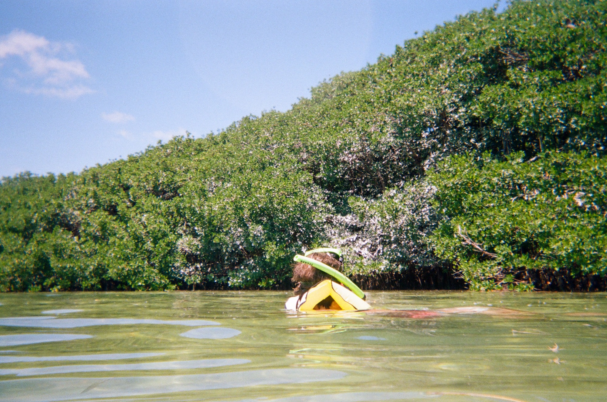 Mangroves, Sunken Ships, and Manatees: Snorkeling at Biscayne National Park