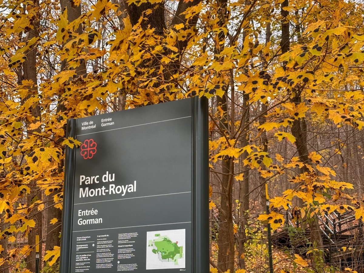 Montréal, Continued: A Perfect Second Day in the&nbsp;City