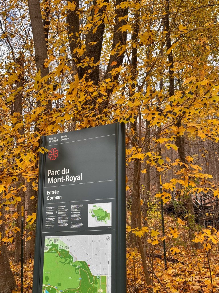 Montréal, Continued: A Perfect Second Day in the&nbsp;City